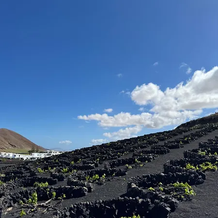 Feriehus Vineyard House *