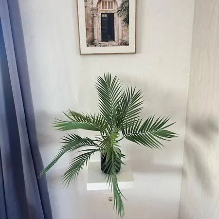 Vineyard House La Vegueta