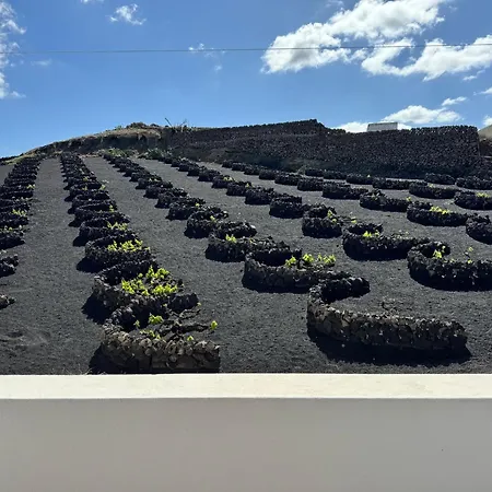 Feriehus Vineyard House *