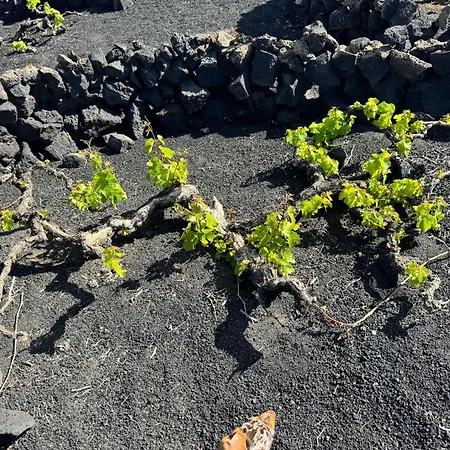 Vineyard House Feriehus