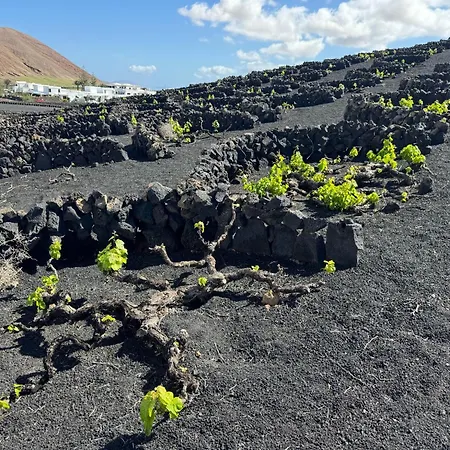 Vineyard House Дом отдыха *