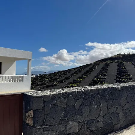 Vineyard House *